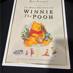 Winnie the Pooh Deluxe Video Edition